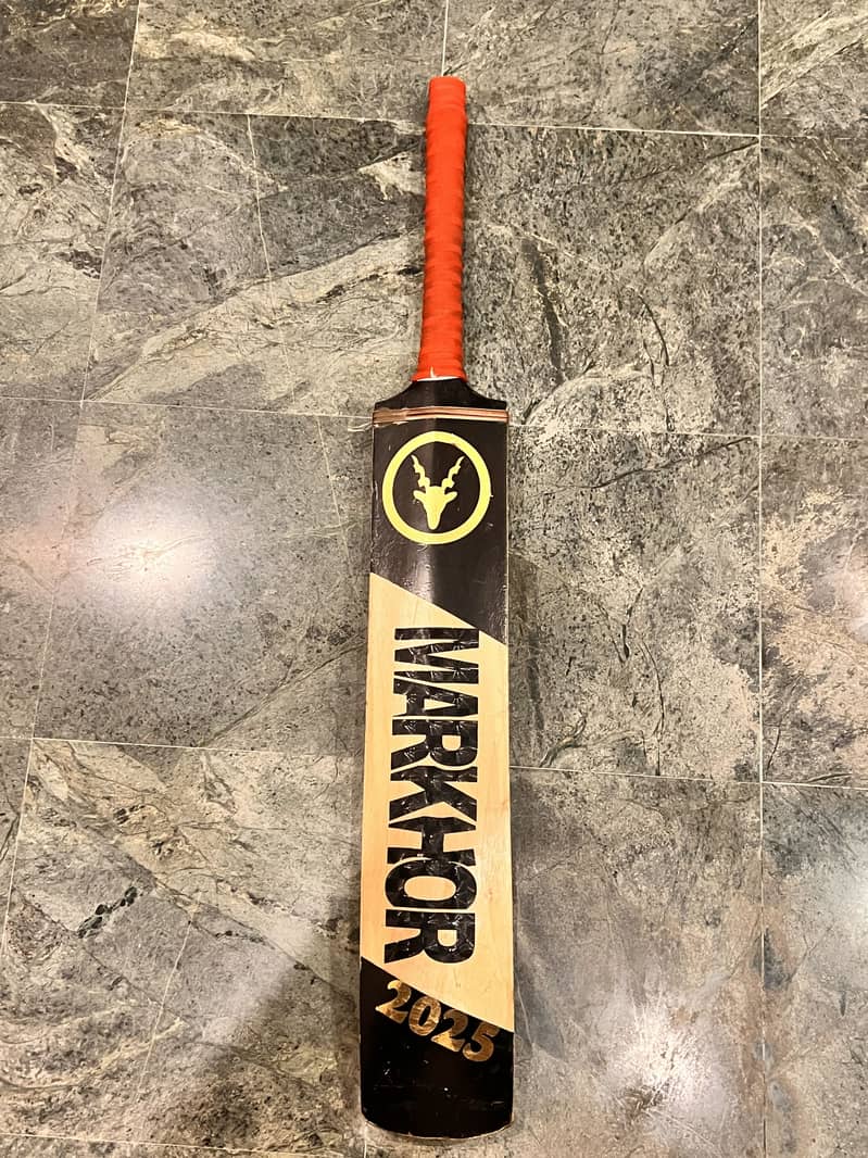 Cricket bat 2
