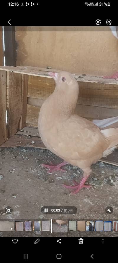 For sale