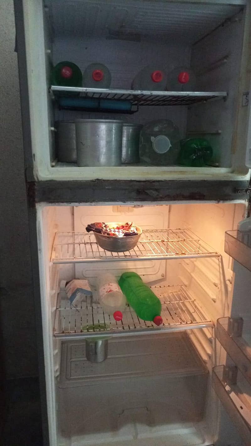 Fridge 1