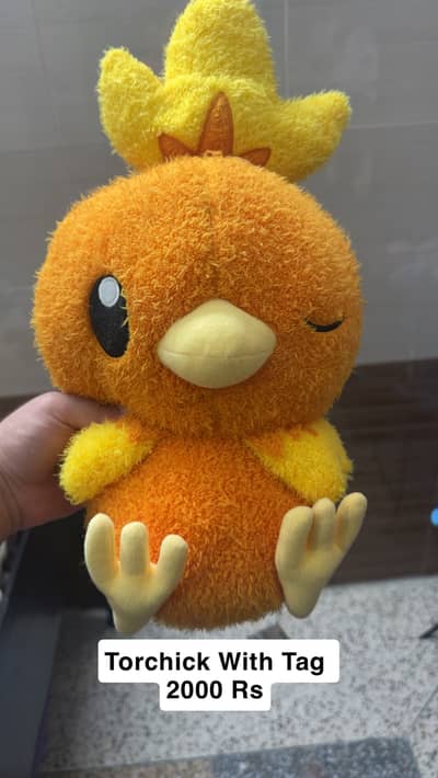 Pokemon Plushes