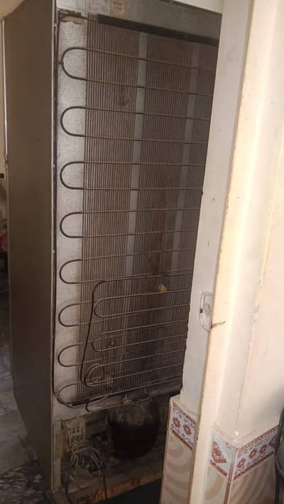 Haier Fridge