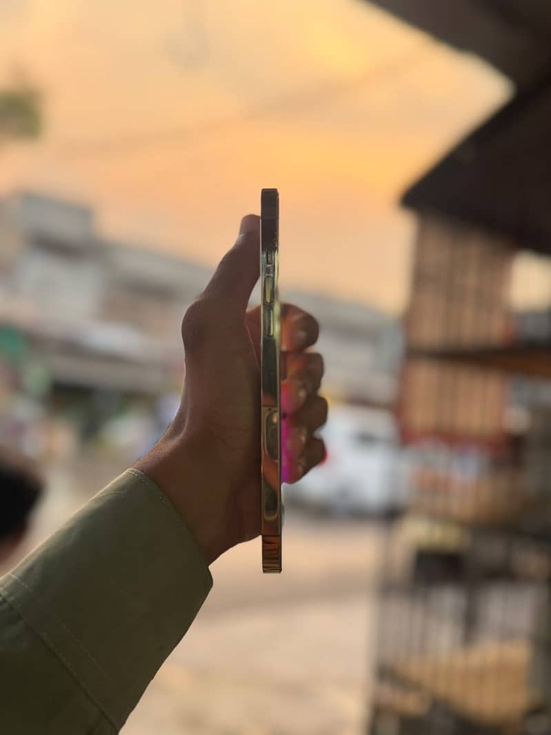 iPhone 12 Pro Max 1