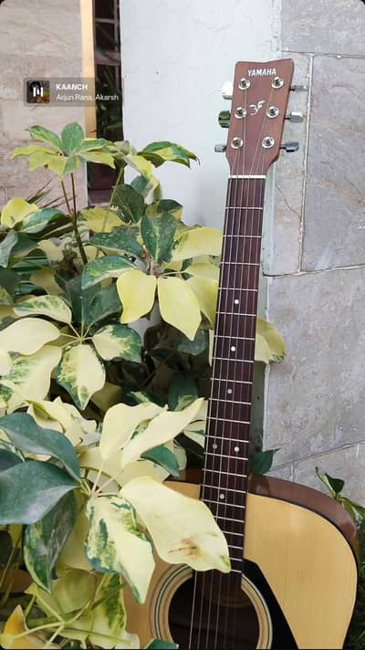 Yamaha F310 Guitar for sale in Islamabad/rawalpindi
