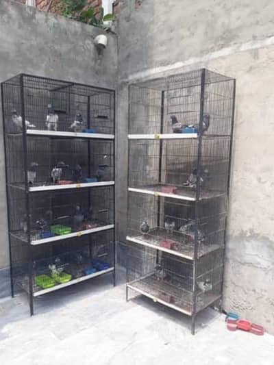4 portion used cages.