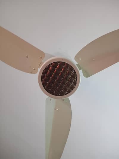 fan sale