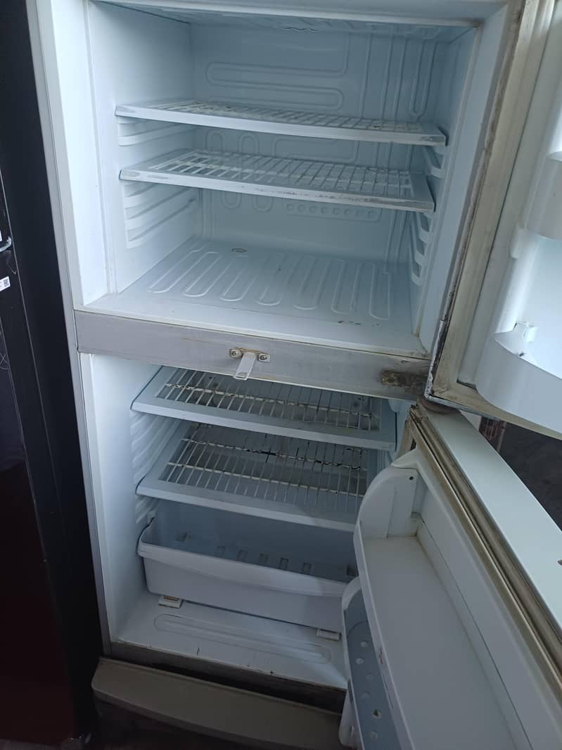 pel fridge 2