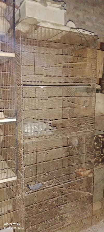 Cages