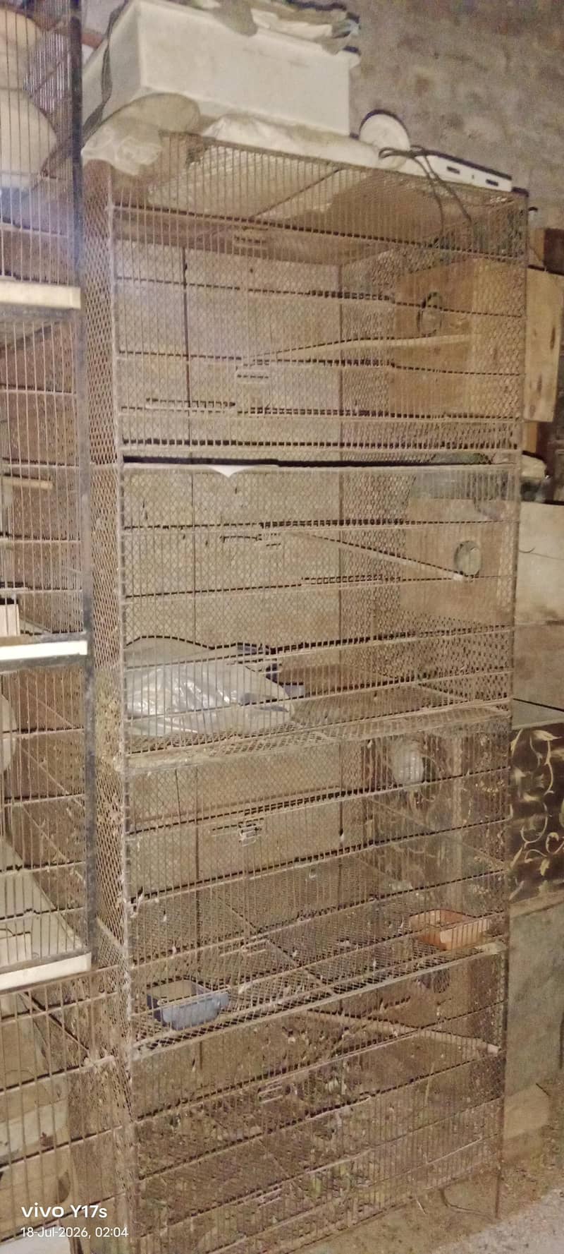 Cages 0