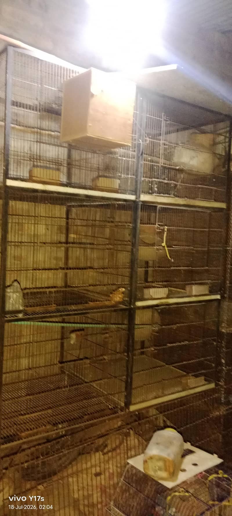 Cages 1