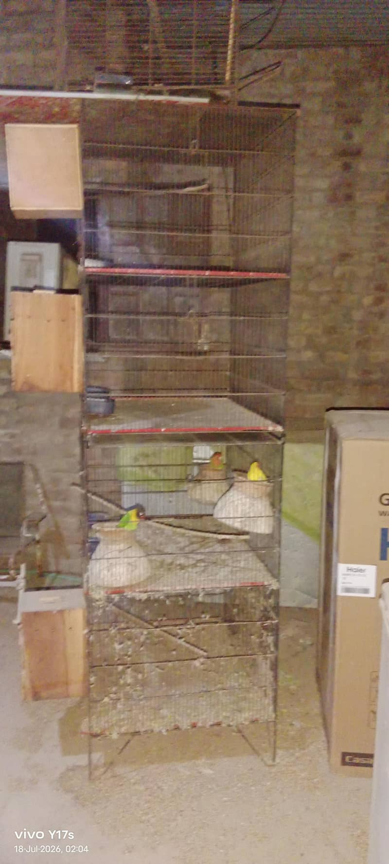 Cages 2