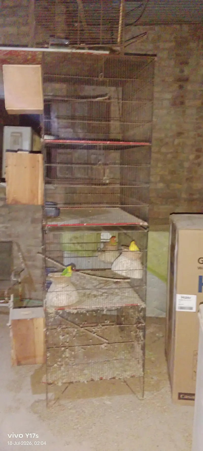 Cages — photo 3