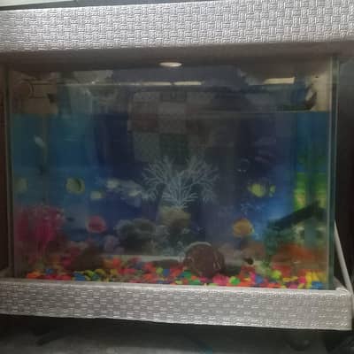 Aquarium and fishes
