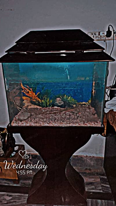 For sale