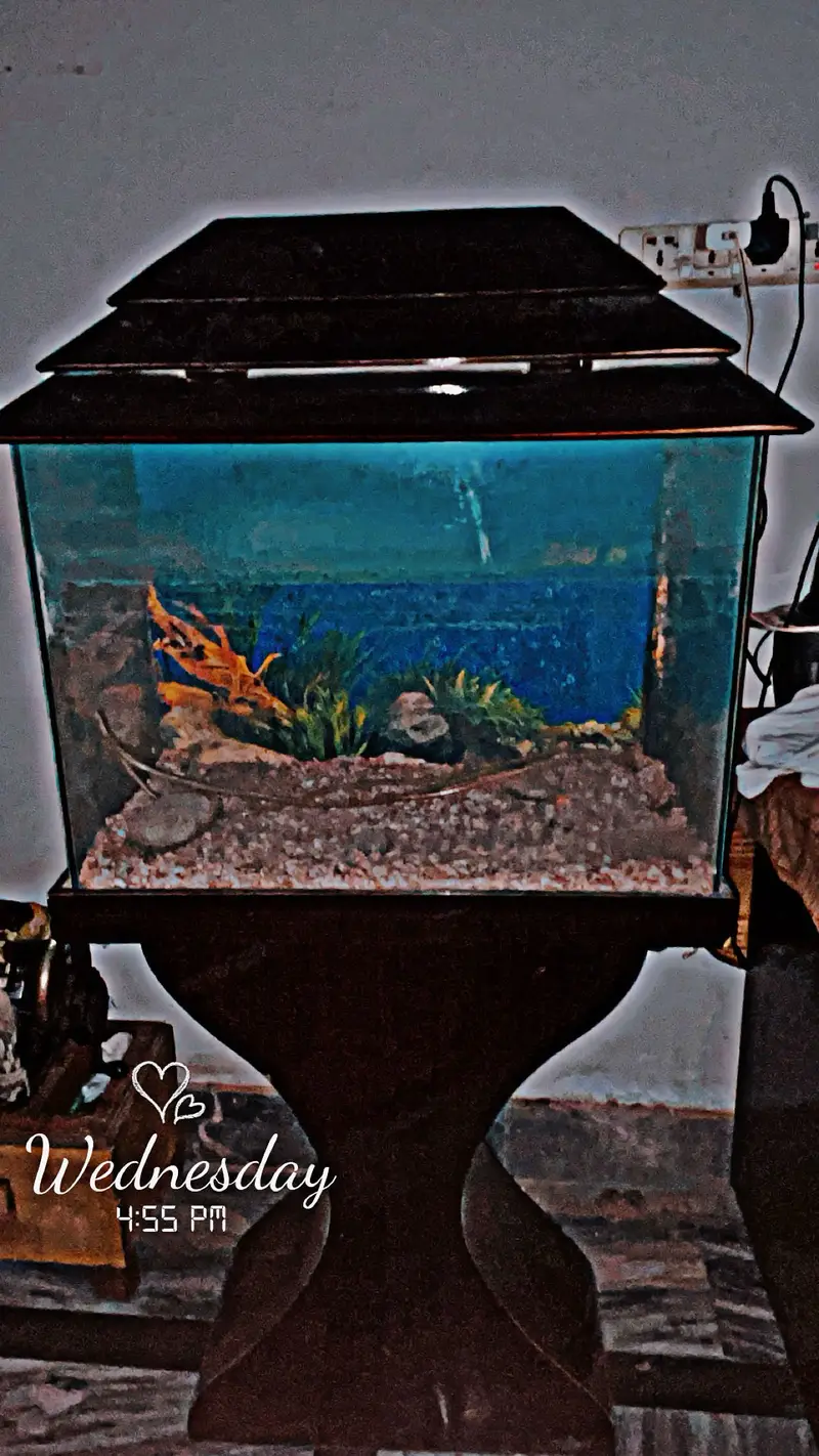 For sale