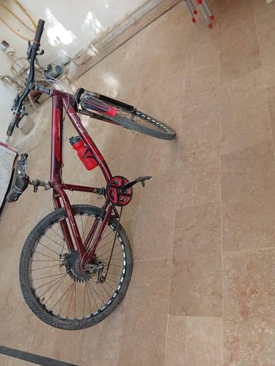 Bicycle