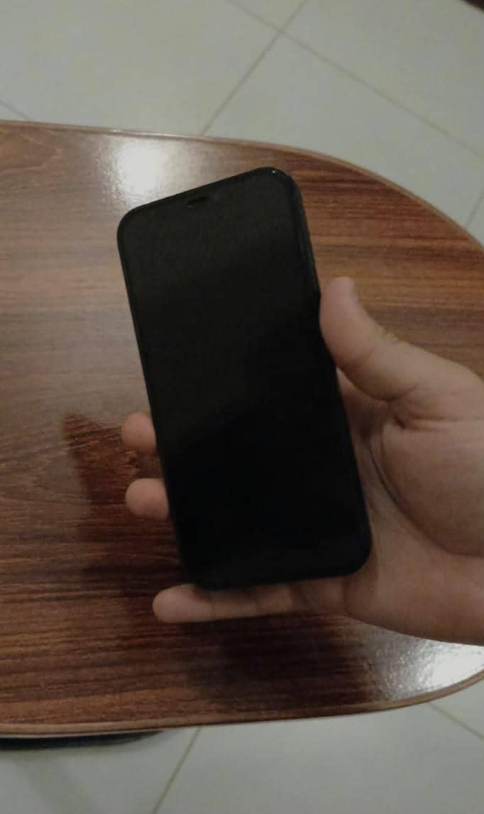 Apple iPhone 12 1