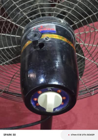 patistal fan