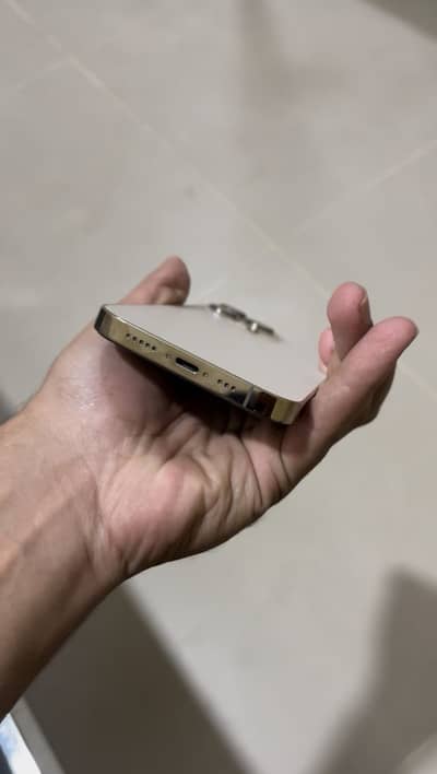 Apple iPhone 13 Pro