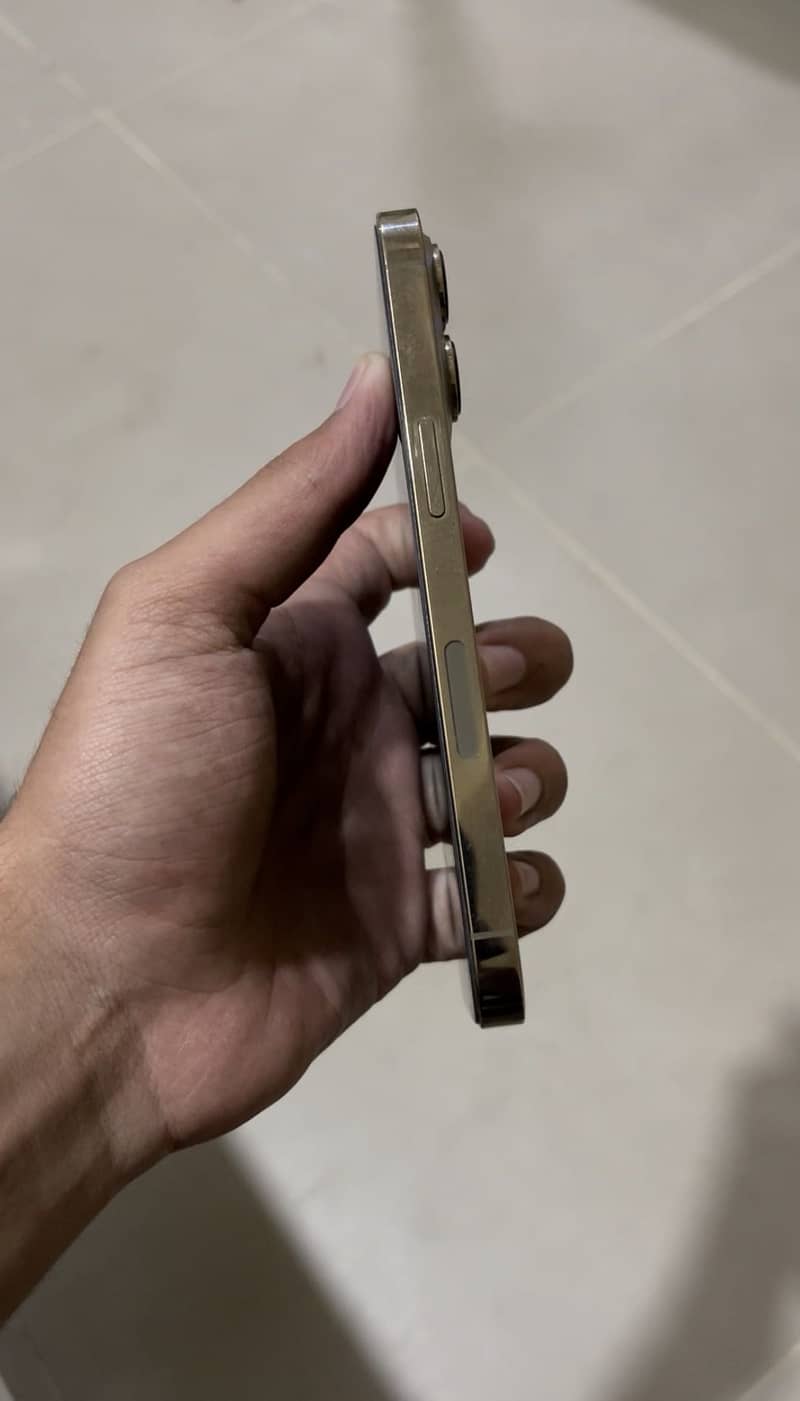 Apple iPhone 13 Pro 1