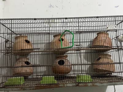 cages