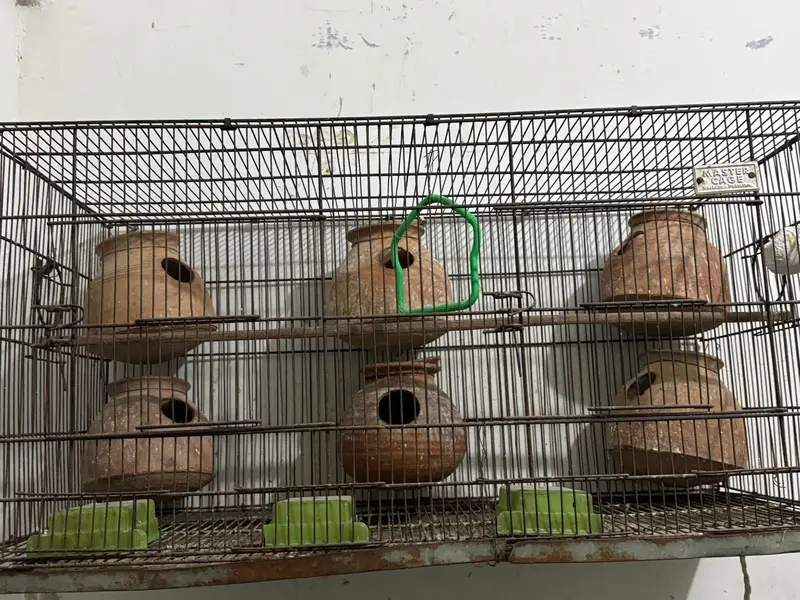cages