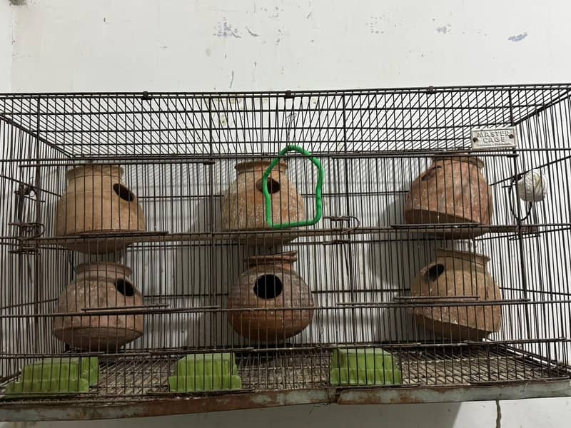 cages 1