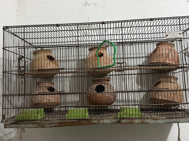 cages 2