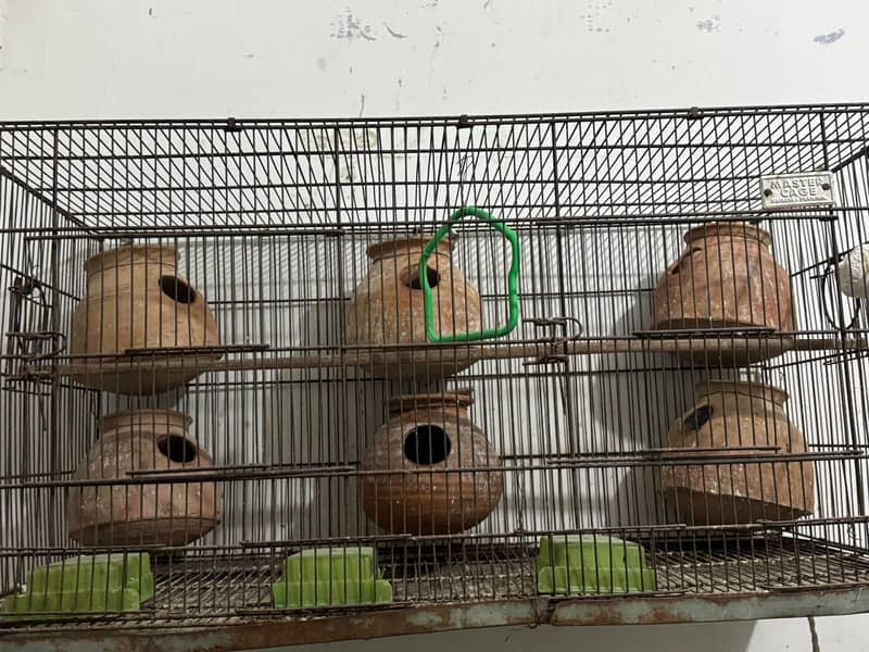 cages 3