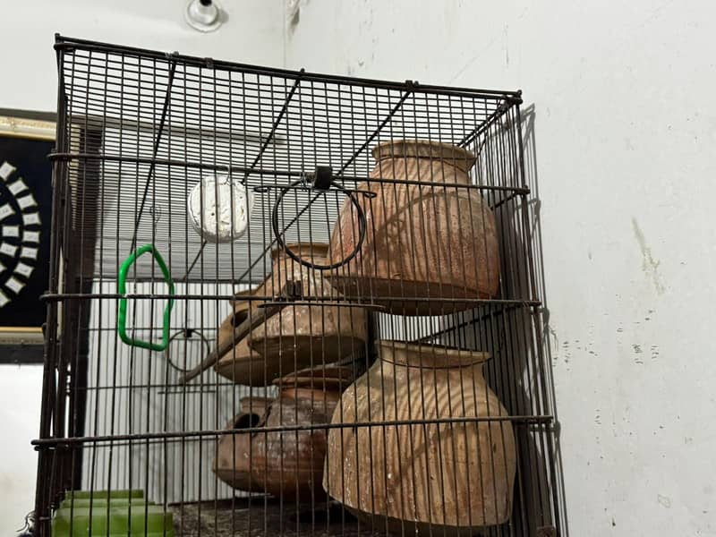 cages 4