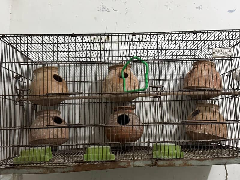 cages 5