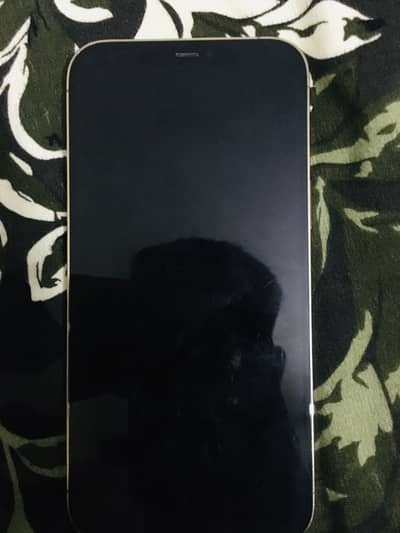 IPHONE 12 PRO MAX NON PTA FACTORY UNLOCKED 256GB READ ADD