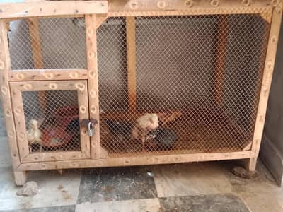 khoda for sell full mazbot h