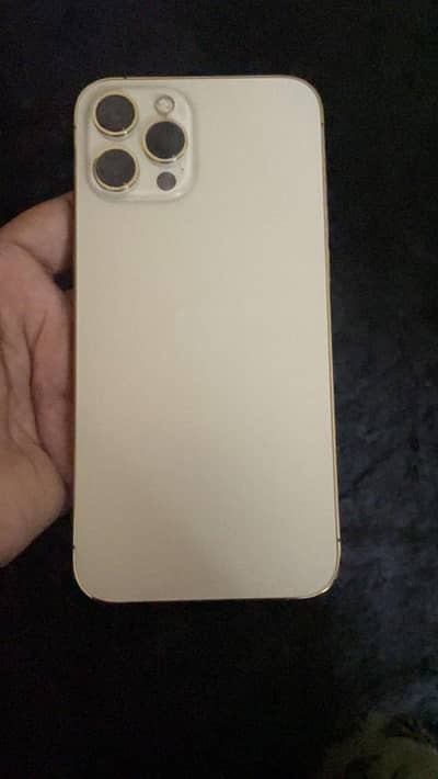 iPhone 12 pro max