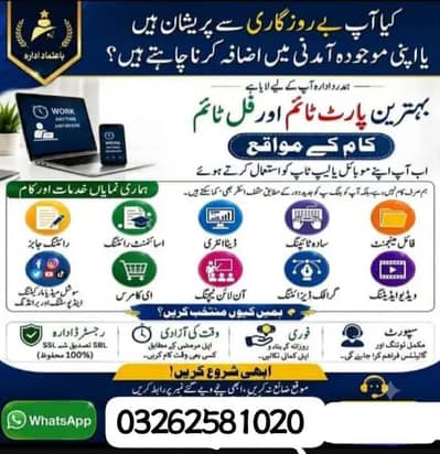 data entry/ assignment writing/ads watch/add posting