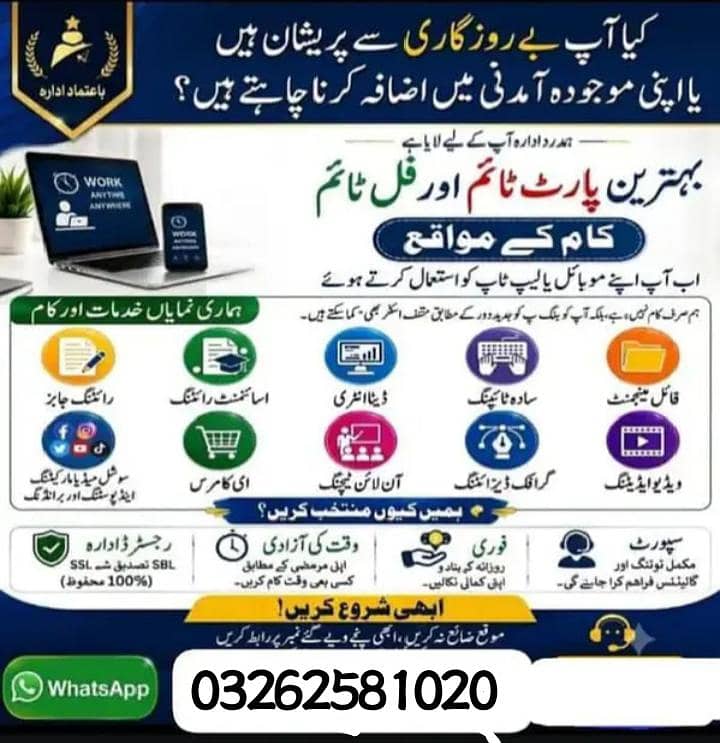 data entry/ assignment writing/ads watch/add posting 0