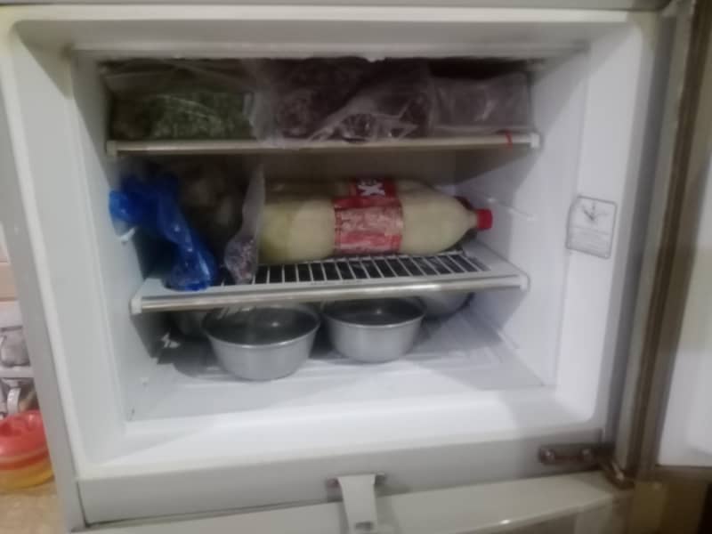 fridge 1