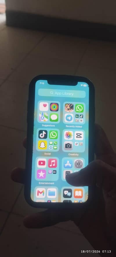 Apple iPhone X