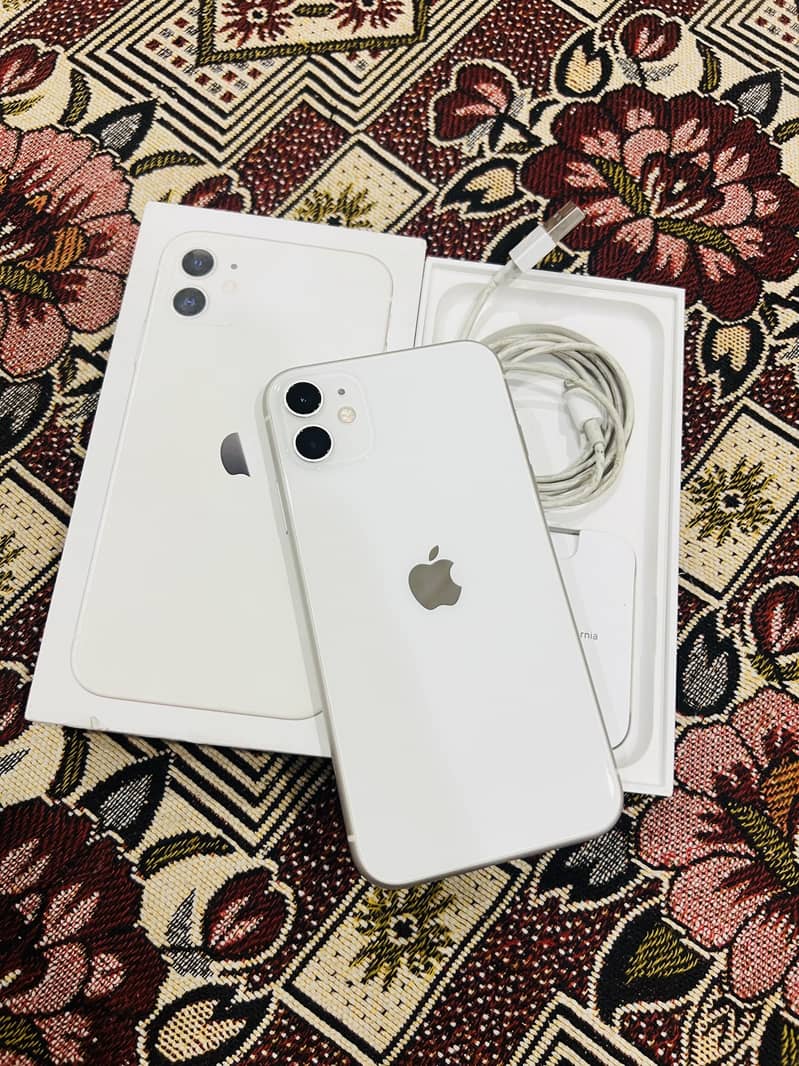 iphone 11 0