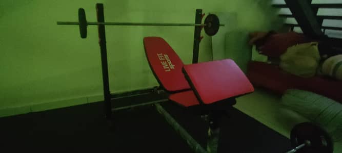 New Bench Press with Barbell