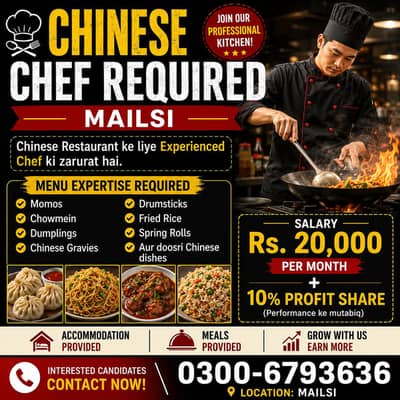  Chinese Chef Required – Mailsi 