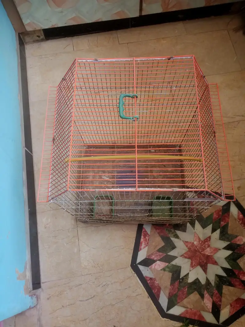 one postion cage — photo 3