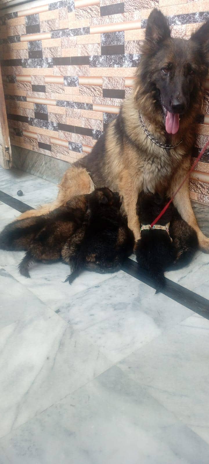 Good and active 2