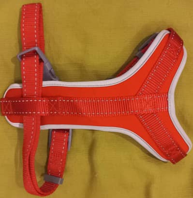 Imported Branded -Harness for your Loyal -Cute and intelligent Dog .