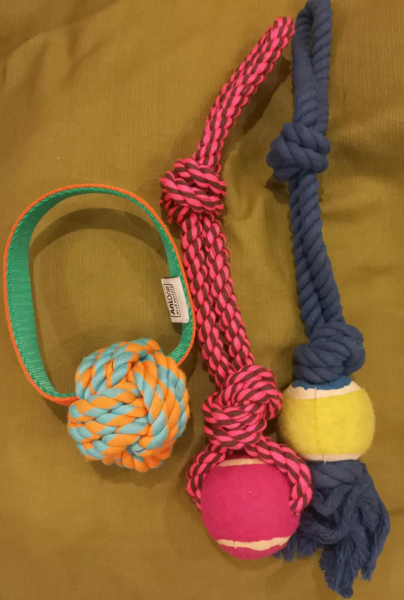 Imported Branded -Harness for your Loyal -Cute and intelligent Dog . — photo 2