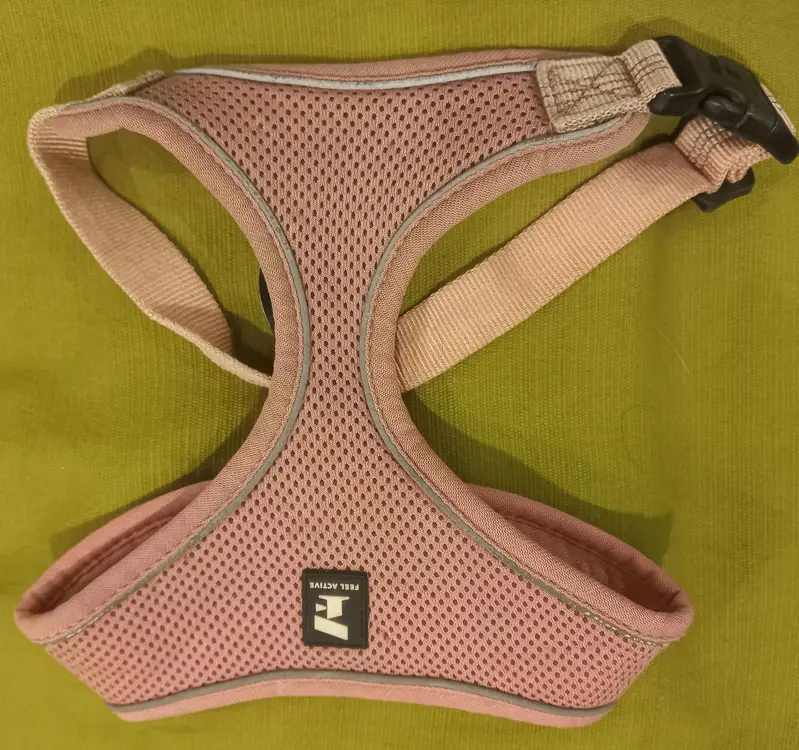 Imported Branded -Harness for your Loyal -Cute and intelligent Dog . — photo 3