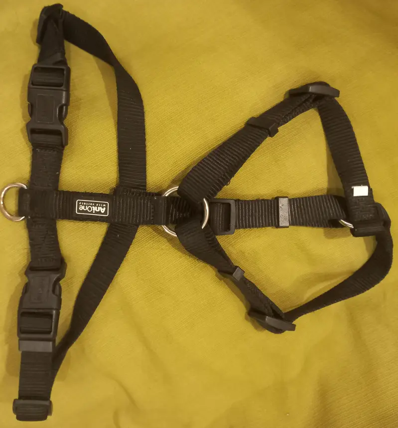 Imported Branded -Harness for your Loyal -Cute and intelligent Dog . — photo 5