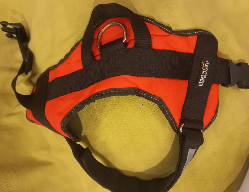 Imported Branded -Harness for your Loyal -Cute and intelligent Dog . — photo 6