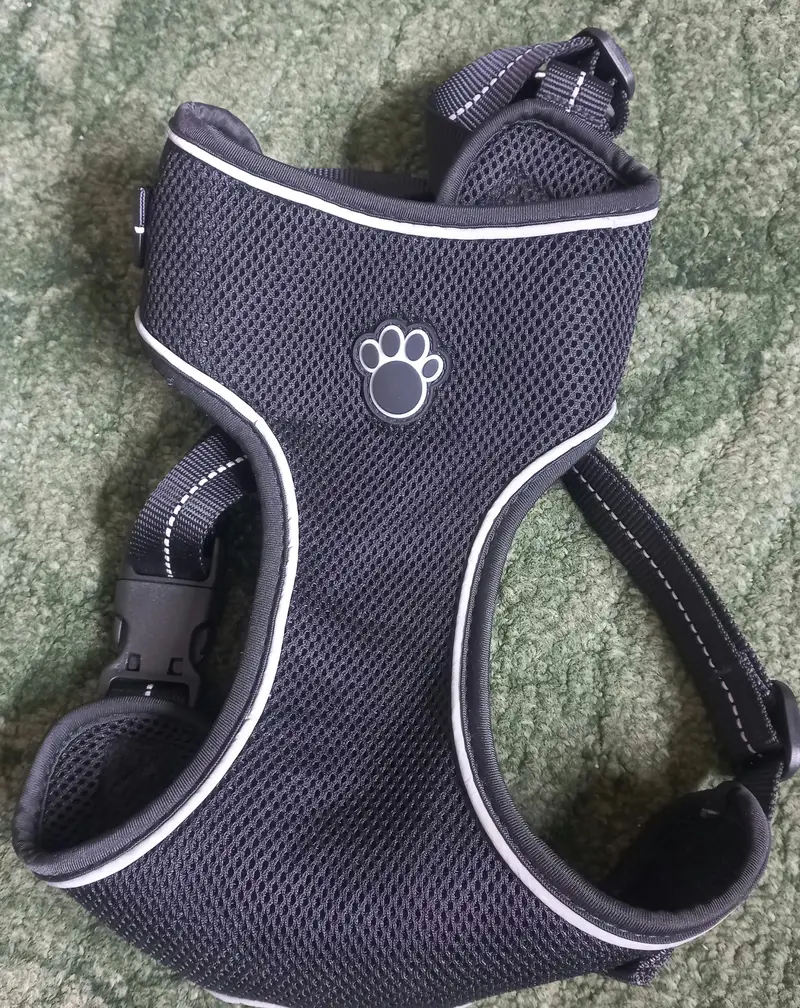 Imported Branded -Harness for your Loyal -Cute and intelligent Dog . — photo 10