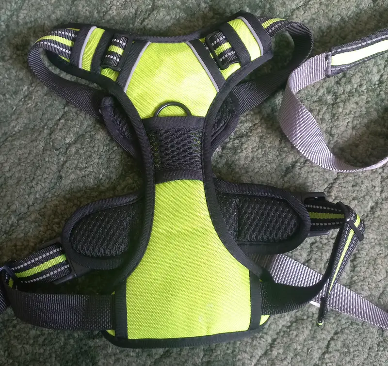Imported Branded -Harness for your Loyal -Cute and intelligent Dog . — photo 11
