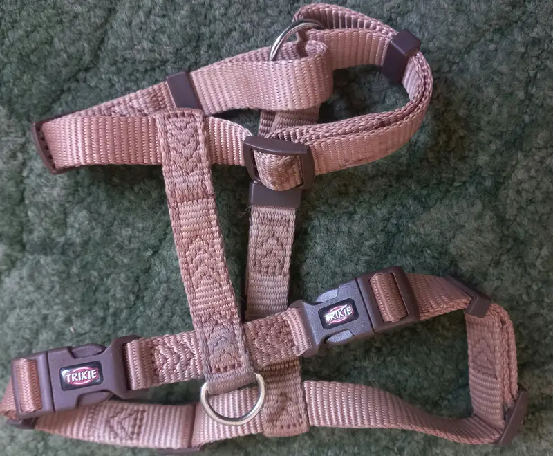 Imported Branded -Harness for your Loyal -Cute and intelligent Dog . — photo 12